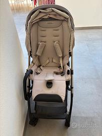 Passegino inglesina electa