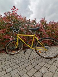 MTB economica