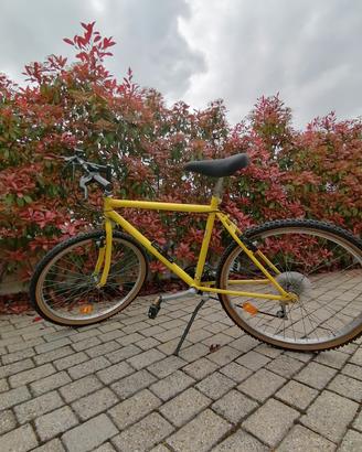 MTB economica