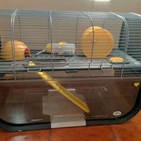 Gabbietta per criceto o porcellino d'India