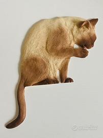 Gatto siamese da parete