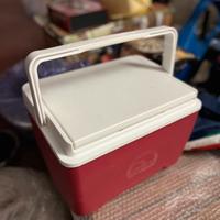 Borsa Frigo rigida di buona qualita