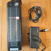 batteria bici elettrica