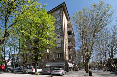 3 LOCALI A CESENATICO