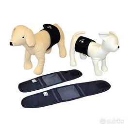 Fascia igienica per cane maschio marca Rich Dog