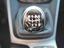 Immagine 11
