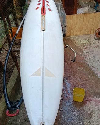 tavola Windsurf 