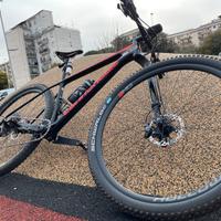 Mtb in carbonio