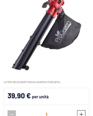 Aspiratore/soffiatore