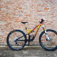 Specialized Stunp Jumper expert Evo