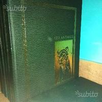 Enciclopedia gli animali Fabbri editore