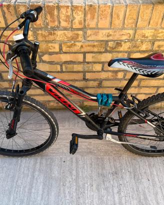 Bici da ragazzo 24’