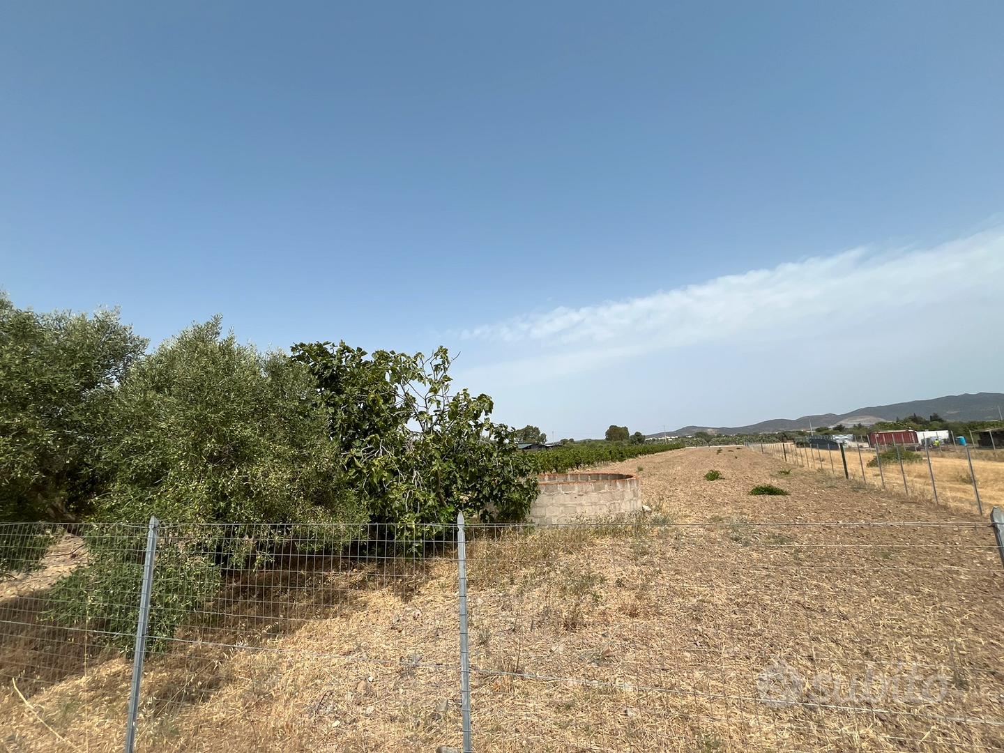 Terreno agricolo Maracalagonis - Vista 5