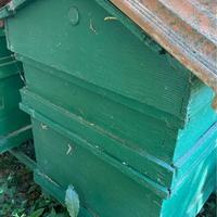 casetta in legno per le api