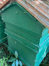 casetta in legno per le api