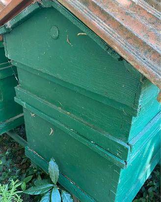 casetta in legno per le api