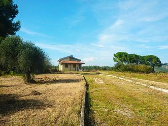 Terreno agricolo loreto aprutino