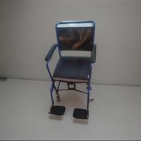 Sedia a rotelle con wc