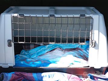 Trasportino auto per cani