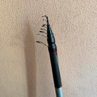 Bolognese colmic royal s 100 7m