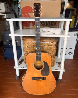 Chitarra Ariana 9020 Aria  -