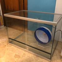 Teca in vetro per animali