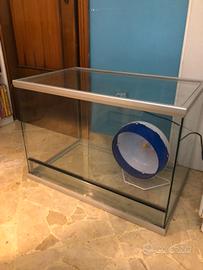 Teca in vetro per animali