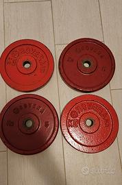 Pesi dischi palestra