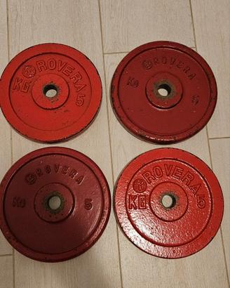 Pesi dischi palestra