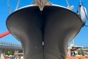 Fisherman Trophy pro