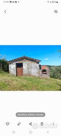 Terreno agricolo Manciano