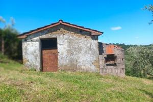 Terreno agricolo Manciano