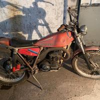 Bultaco 350 Sherpa Trial - Anni 70