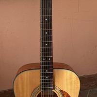 Chitarra Acustica Cort Earth 60