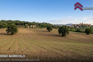 Terreno Agricolo - Castelfranco di Sotto