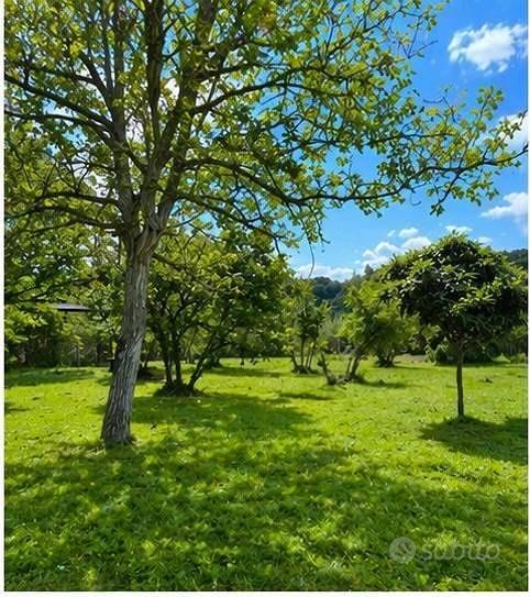 Rustico / Casale di 40 m² con 1 locale a Tuscania - Altro