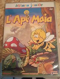 DVD Ape maia