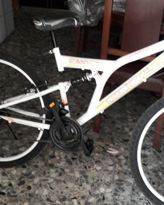 Bicicletta Regina