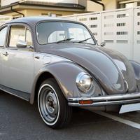 Volkswagen Maggiolino 11 D 1980 - VETRO PIATTO - R