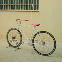 Bici single speed ruota libera con freno a pedale