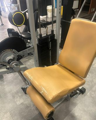 Leg extension Technogym