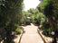 Immagine 6