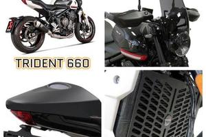 Triumph Trident 660 scarico bauletto centralina