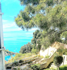 San Nicola Arcella monolocale