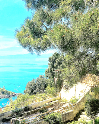 San Nicola Arcella monolocale