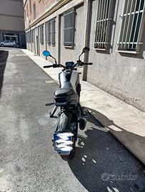 Benelli leoncino 250 