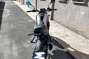 Benelli leoncino 250 