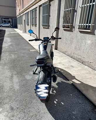 Benelli leoncino 250 