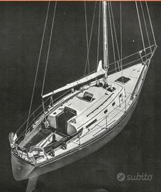Barca a vela 11 metri