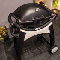 WEBER Q2200